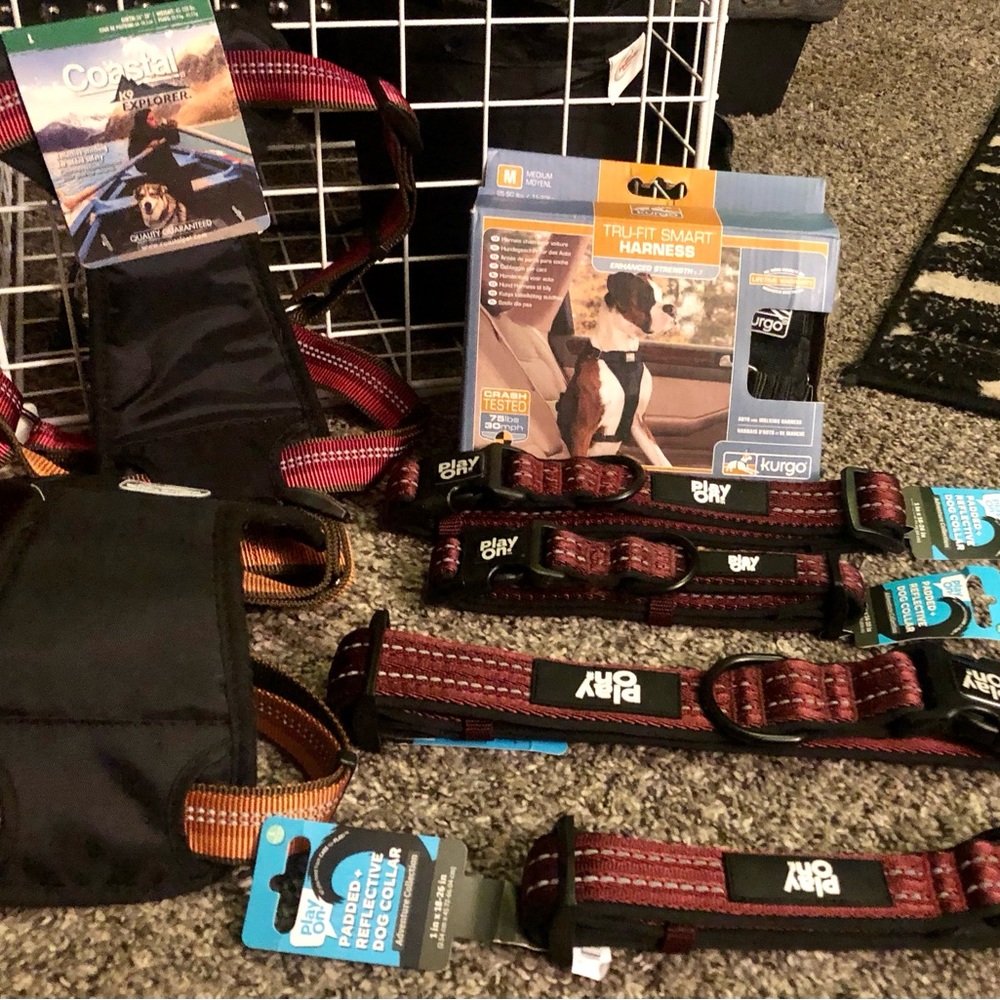 Miscellaneous Dog items